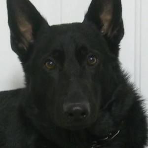 Meet your Posher, Barclay